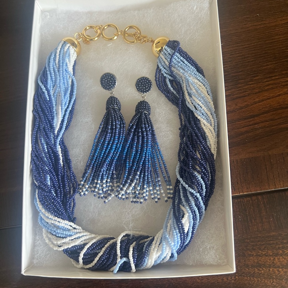 Blue and White Beaded Necklace and Earring Set